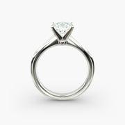Delicate Engagement Ring in Platinum