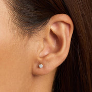 Four-Prong Round Brilliant Diamond Stud Earrings in 18ct White Gold